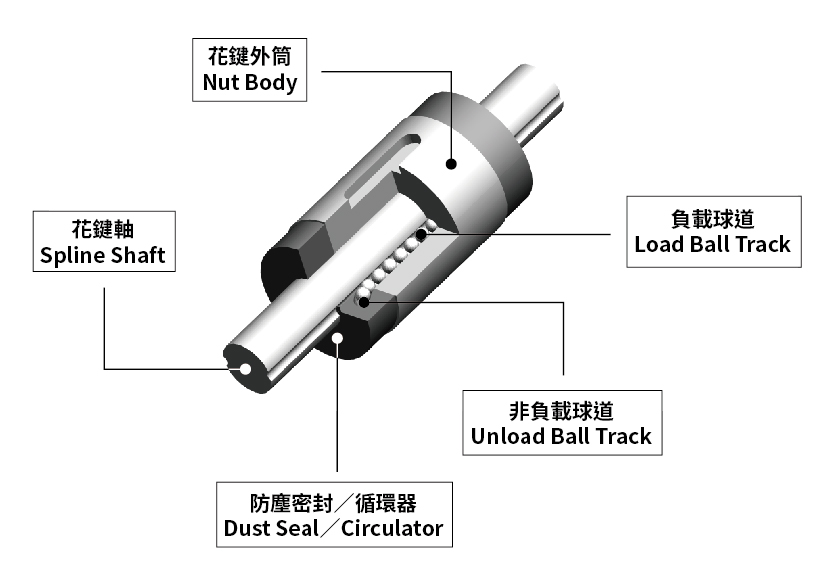 TBI MOTION滾珠花鍵結構